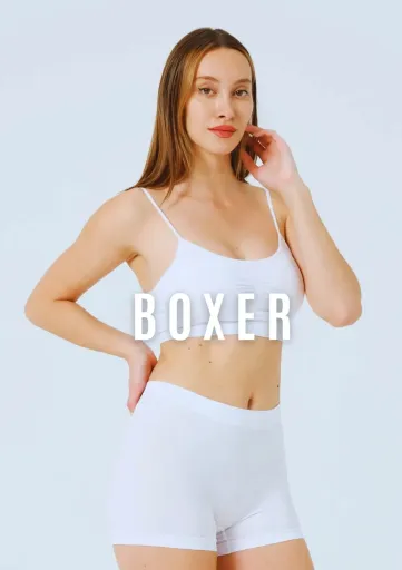 Boxer